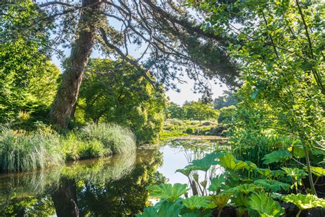  Xianghualing Botanic Garden: Nerede Muhteşem Bitki Çeşitliliğini Keşfedeceksiniz!