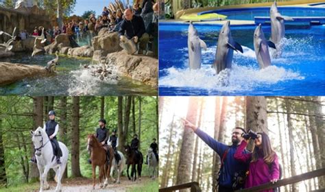  Zoo Boise: Eğlenceli Hayvanlarla Dolu Vahşi Bir Keşif Macerası!